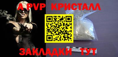 кокс Гатчина