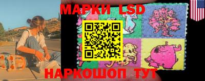 кокс Гатчина