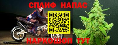 кокс Гай