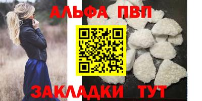 кокс Гатчина