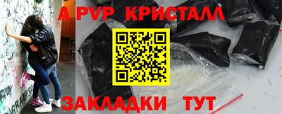 кокс Гатчина