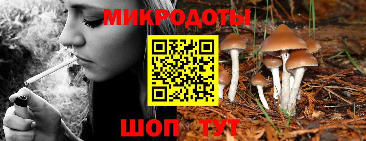Псилоцибиновые грибы Magic Shrooms Джанкой