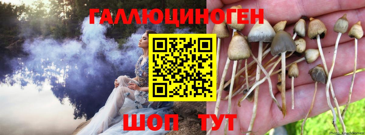 Галлюциногенные грибы Cubensis  Вход с VPN  Джанкой 